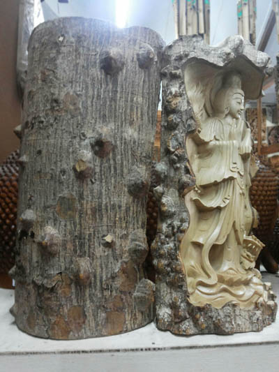 Crocodile Wood Unique Textured Timber