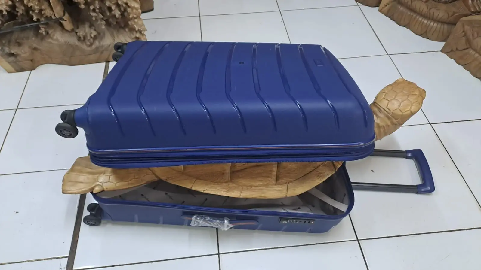 Large custom turtle wood carving by Tirtha Wangi