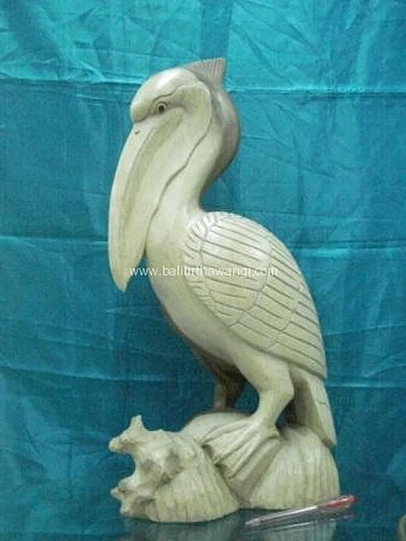 Pelican Bird
