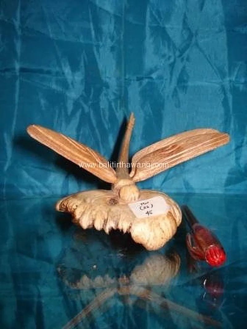 Dragonfly Parasit Wood