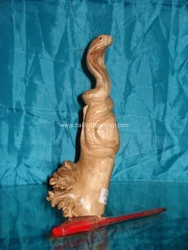 Snack Parasit Wood Other