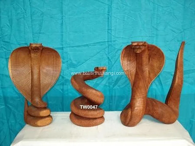 Various of Cobra Snack