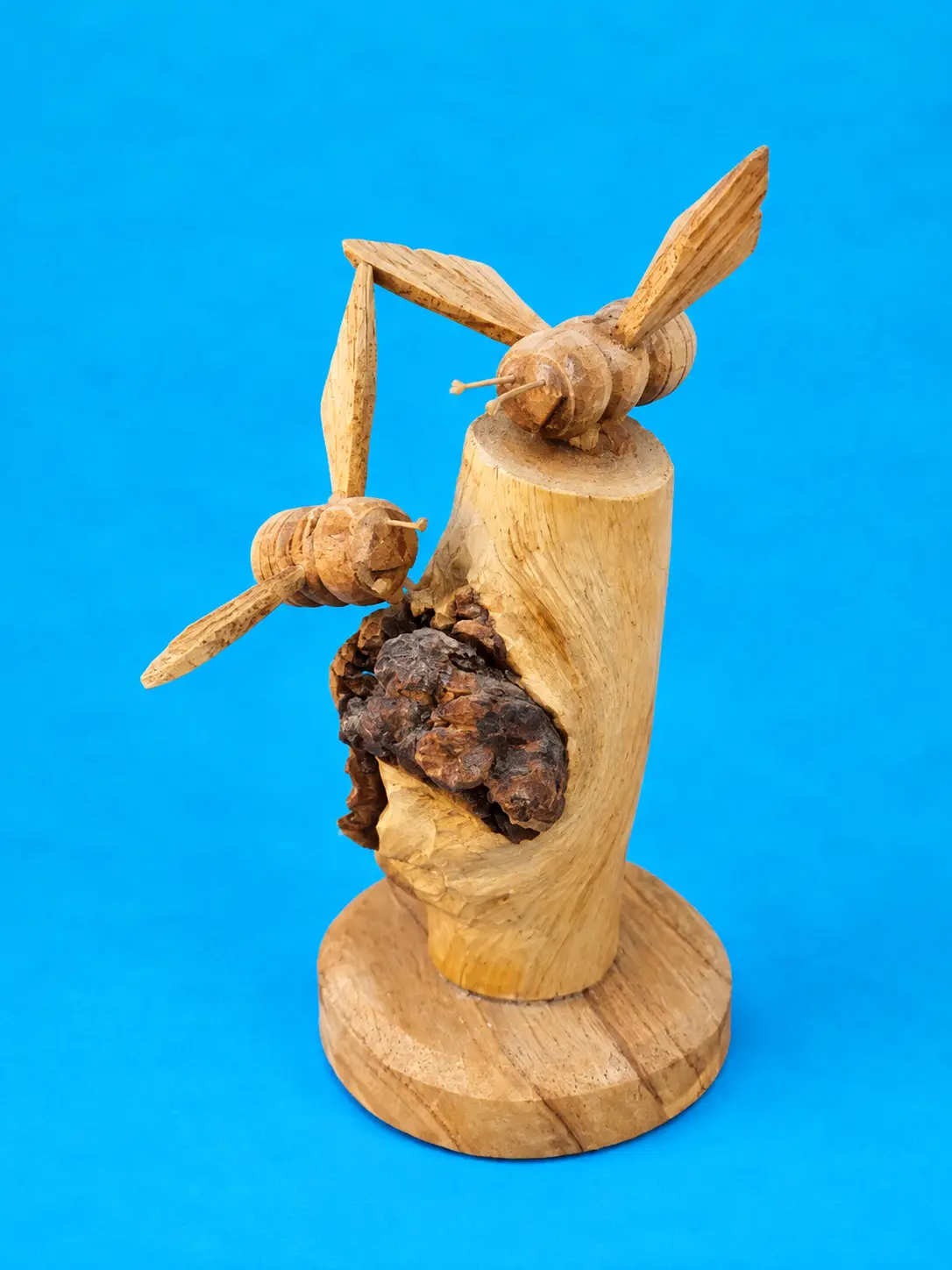 Natural Parasitic Root Wood Sculpture – Bee Parasitic Root Wood
