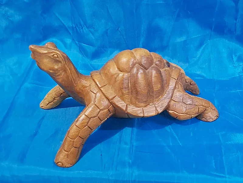 Turtle