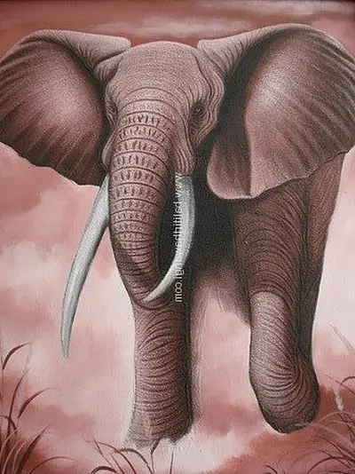 Elephant