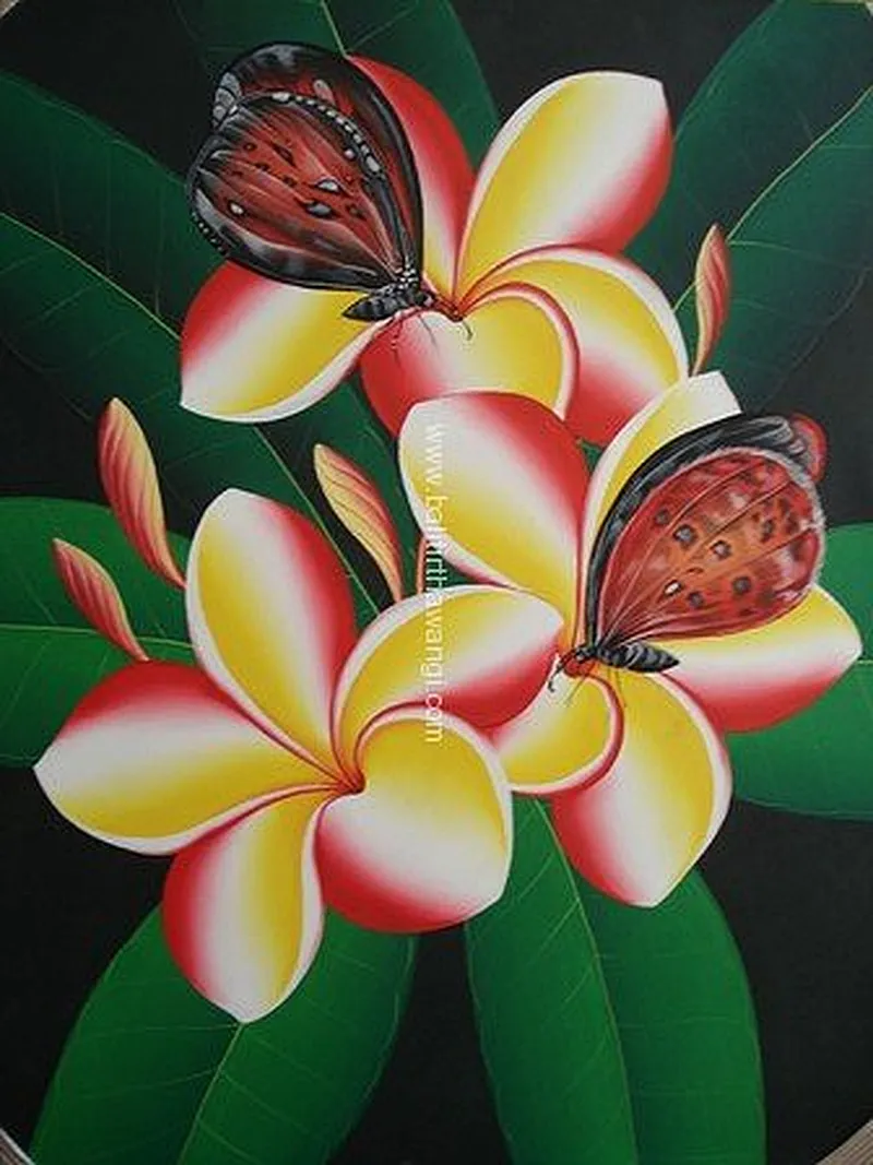 Frangipani Flower with butterfly Balinese Paintings