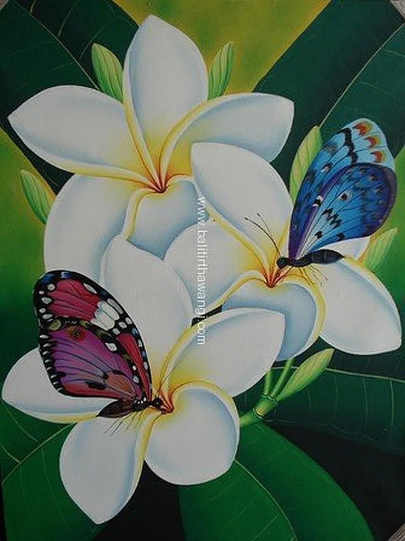 Frangipani Flower with butterfly Balinese Paintings