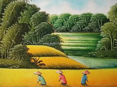 Rice Field