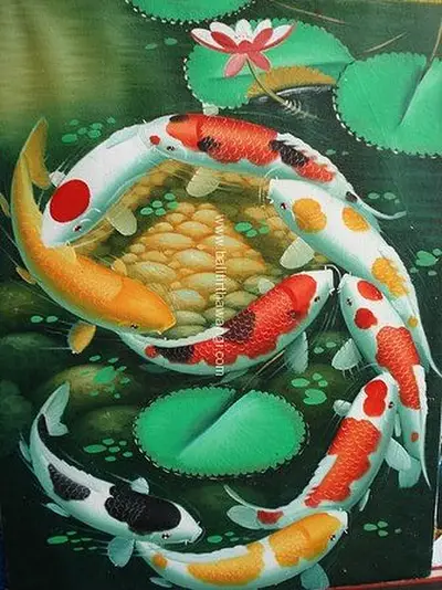 Koi Fish