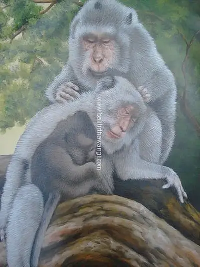 Monkey